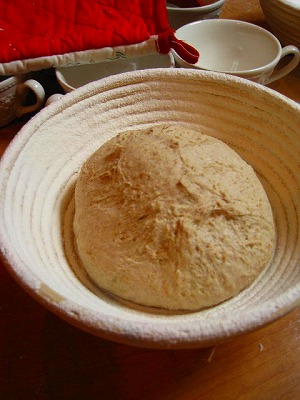 1月13日(水) お楽しみパンクラブ(ニーダー)_d0138307_22525445.jpg