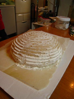 1月13日(水) お楽しみパンクラブ(ニーダー)_d0138307_22534386.jpg