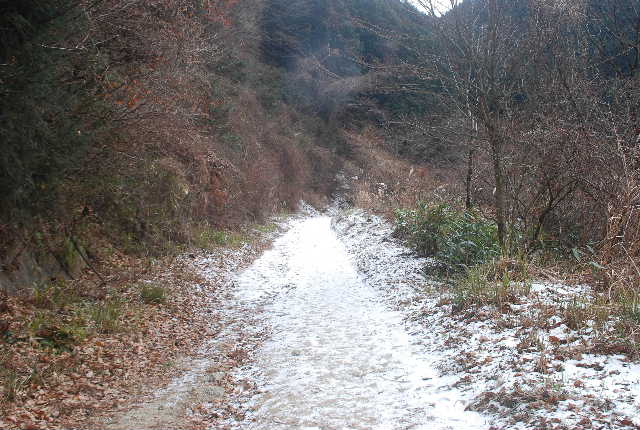 １５　雪道の金剛山登山_f0063911_16434961.jpg