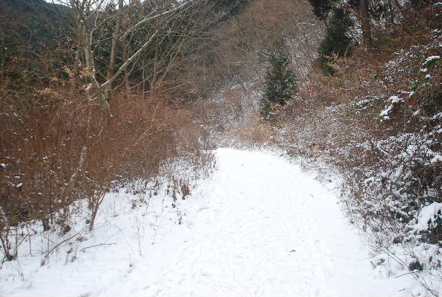 １５　雪道の金剛山登山_f0063911_16454889.jpg