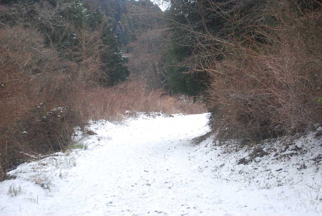 １５　雪道の金剛山登山_f0063911_16474644.jpg