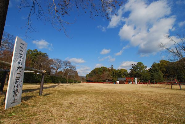 あ～ぁ　勘ちがい　－　上賀茂神社_a0114714_1731566.jpg