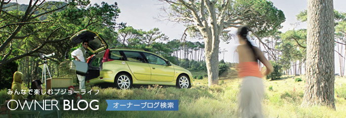 PEUGEOT OFFICIAL BLOG RING_e0008322_19181321.jpg