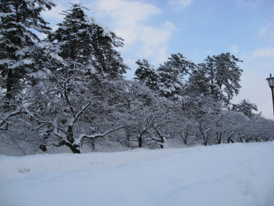 冬の弘前公園散歩（弘前市）*2010.01.15_b0147224_22442042.jpg