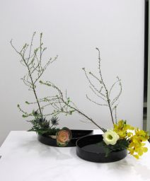 一年の計は元旦にあり!_c0165824_15391481.jpg