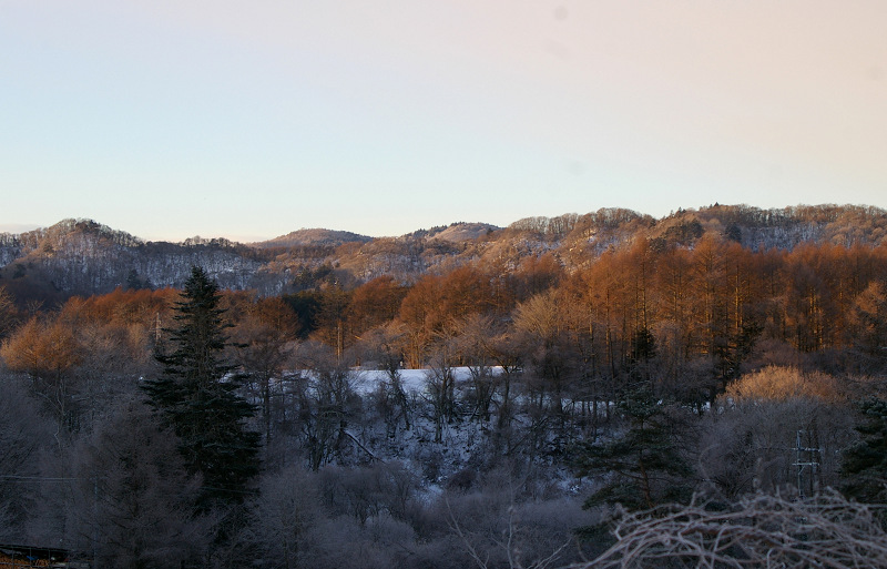 e0136424_8372548.jpg