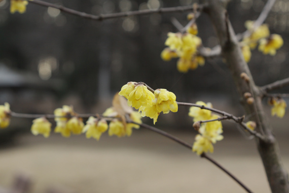 池のある公園でお散歩_e0071225_115170.jpg