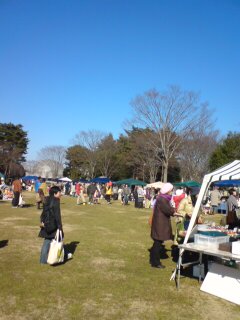 c0030327_162495.jpg