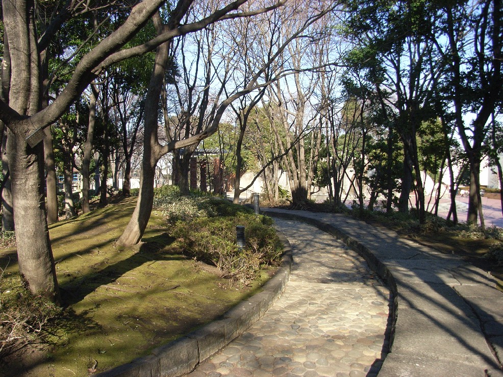 滝野川公園 東京緑散歩 滝野川公園 東京緑散歩