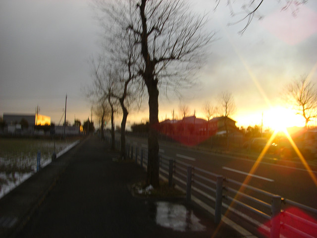 b0088444_21321770.jpg