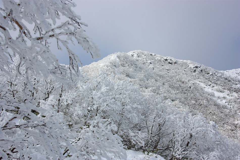 ホロホロ山夏道からの雪景色_c0210644_2219955.jpg