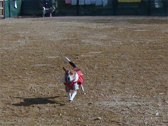 c0086746_15816.jpg