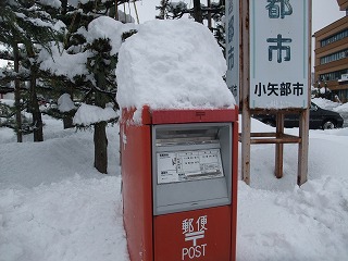 c0208355_99281.jpg