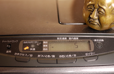 長野の室内温度は東京の気温以下_a0153361_1221441.jpg