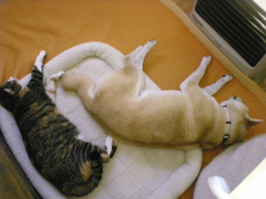 2010年1月15日(金)「キャバレー」を観に行きました!_f0060461_149059.jpg