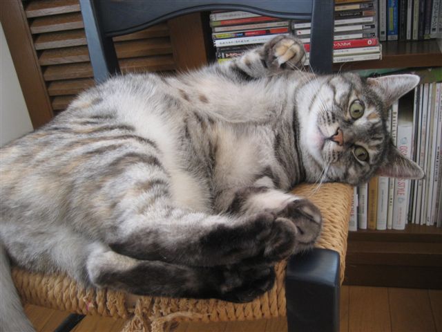 a0123465_003517.jpg