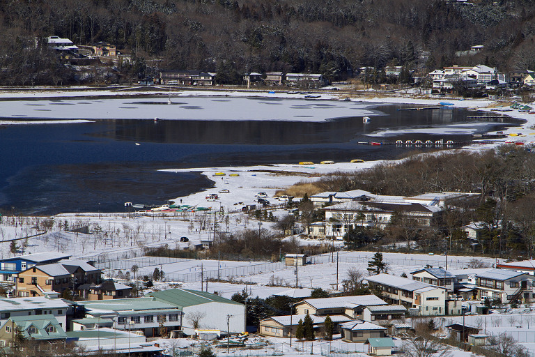 山中湖（１月１４日）_c0057265_2136228.jpg