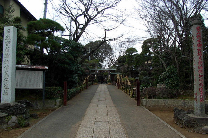 b0006870_134171.jpg