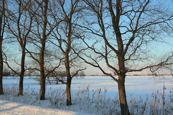 b0068572_2013016.jpg