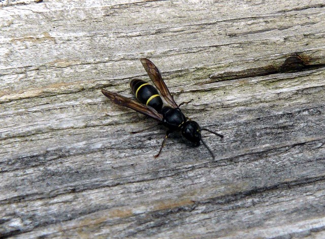 d0019074_9225176.jpg