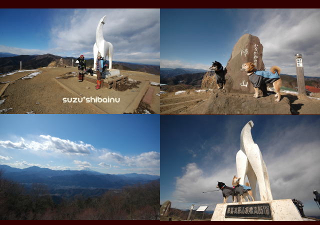 柴的登山---（景信山⇔陣馬山）_d0064387_053047.jpg