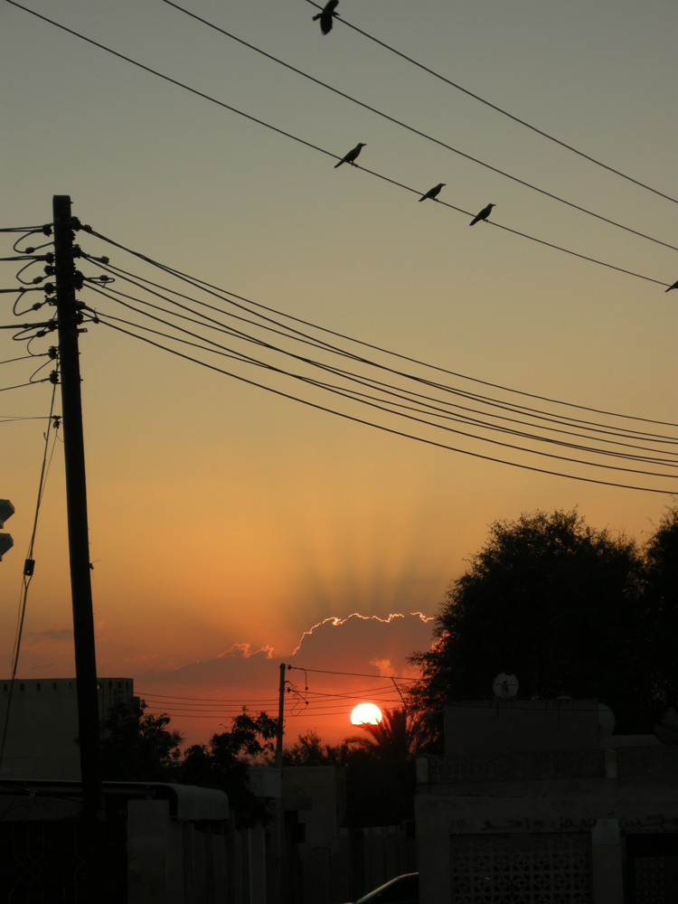 オマーンの朝日と夕日_d0113287_0555191.jpg