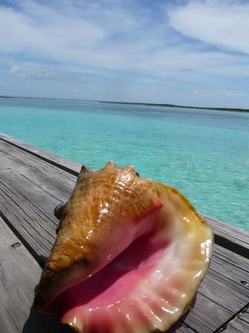 f0181488_05195.jpg