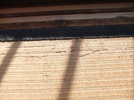 b0003400_1425266.jpg