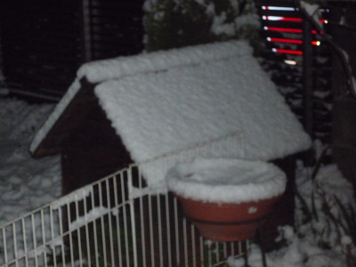 e0011102_10591097.jpg