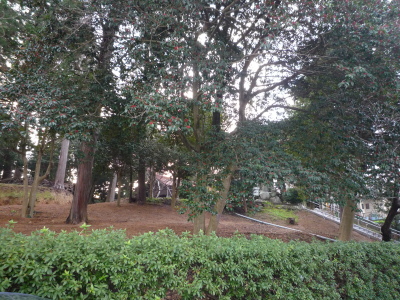 e0011102_1165488.jpg