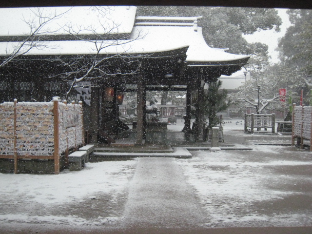 福岡でも大雪でした_b0114209_1241976.jpg