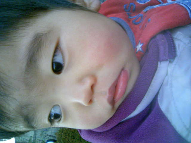 c0130623_8505746.jpg