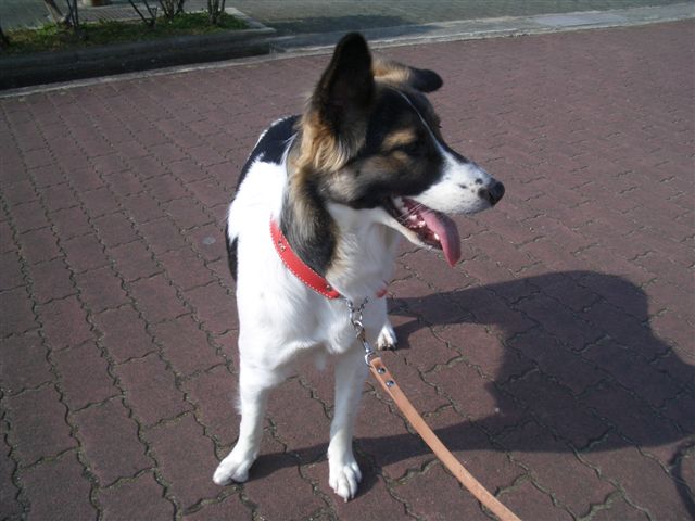 b0098730_0562437.jpg