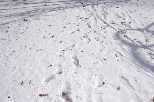 e0130134_2217731.jpg