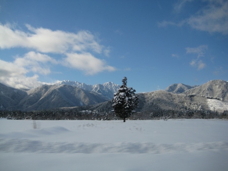 f0131939_2131980.jpg