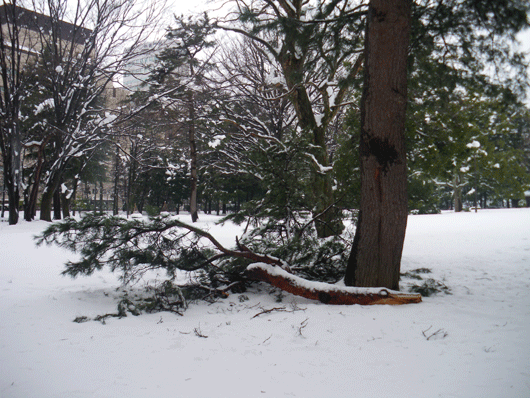 c0093046_851879.gif