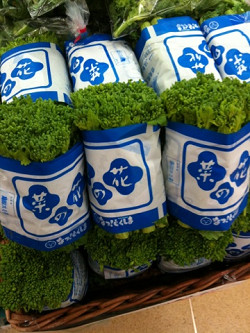 もう春がそこまで 今日は菜の花 スーパー山田屋の耳よりブログ