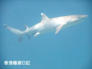 f0190653_915501.jpg