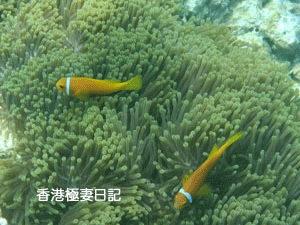 f0190653_9165791.gif