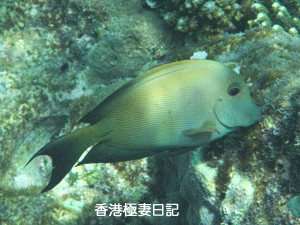 f0190653_919252.gif