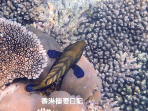 f0190653_9202256.gif