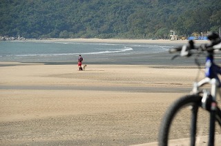 c0047856_20431344.jpg