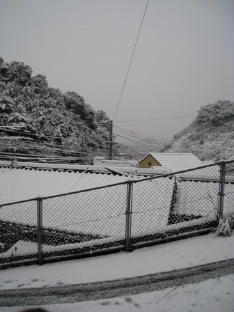 鹿児島に雪積もる_e0196557_1635236.jpg