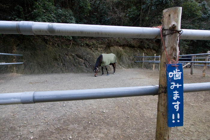 土佐黒潮牧場 その2_a0077663_2005057.jpg