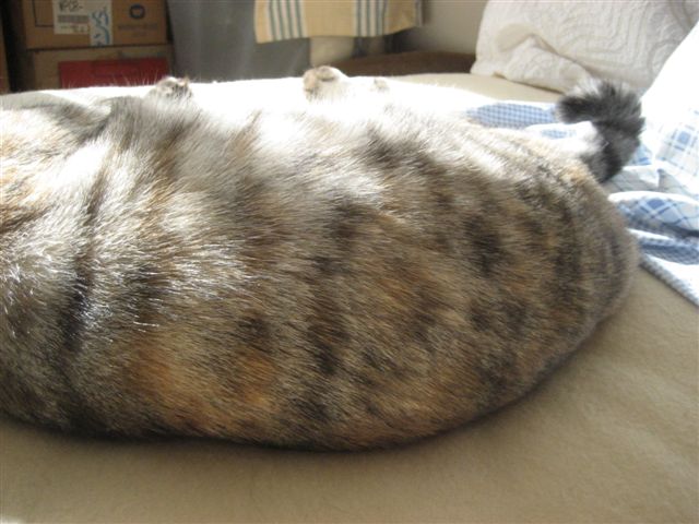 a0123465_1121616.jpg
