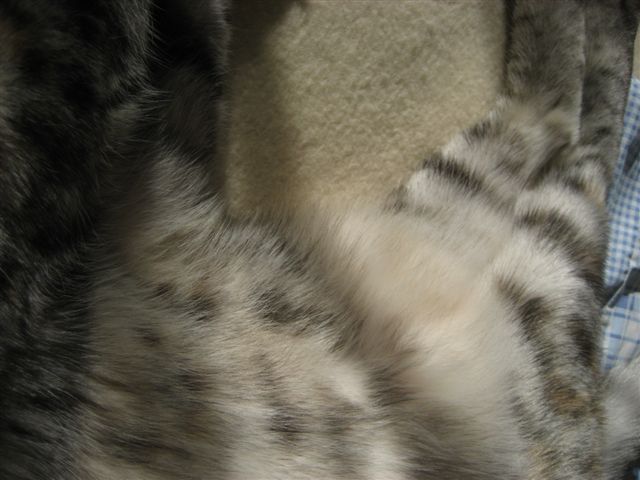 a0123465_1124557.jpg