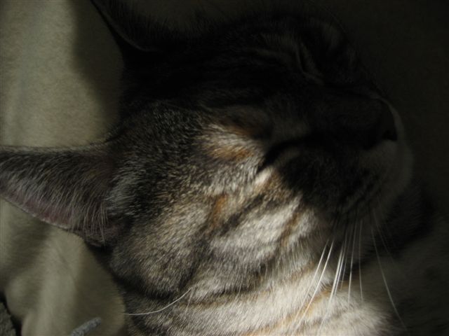a0123465_1125850.jpg