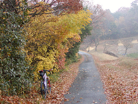 c0107075_00414.jpg