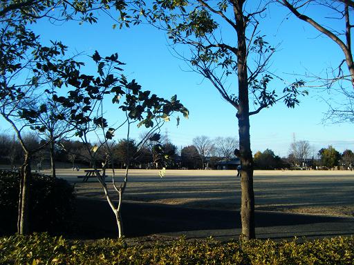 c0184075_22371563.jpg