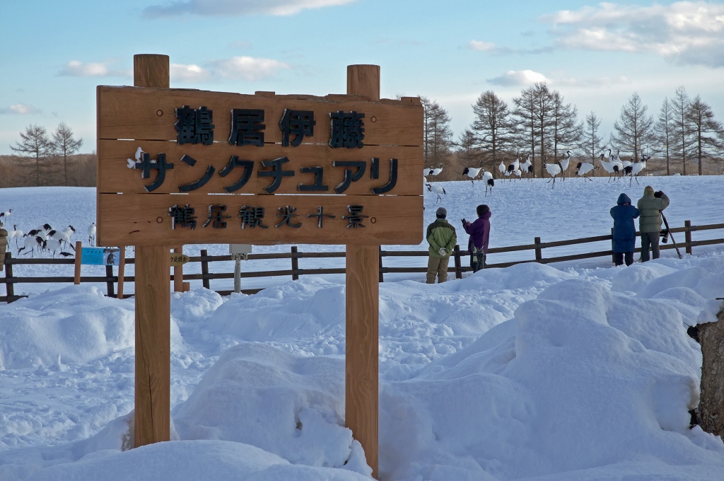 タンチョウを見に行ってきました。 5_f0085878_14444946.jpg